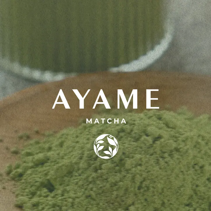Subtelny, poziomy napis AYAME MATCHA